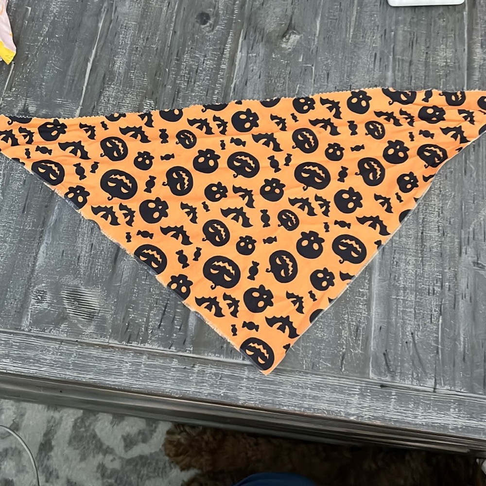 Dog Halloween pumpkin bandana